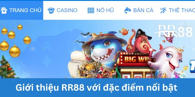 Giới thiệu RR88 về đặc điểm nổi bật